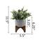 Flora Bunda® 11.5" Gray Eucalyptus in Ceramic Pot on Wood Stand